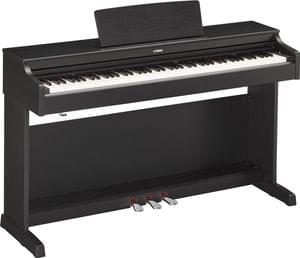 1558774756867-YDP163B Y WITH BENCH.jpg